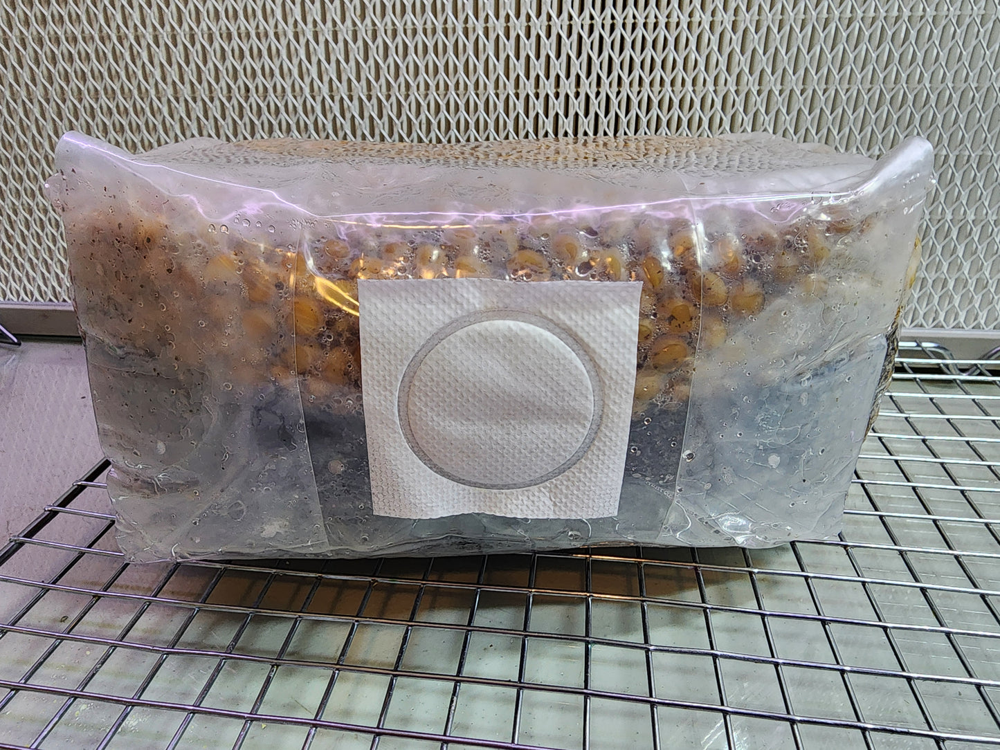 All-in-One Mushroom Grow Bag