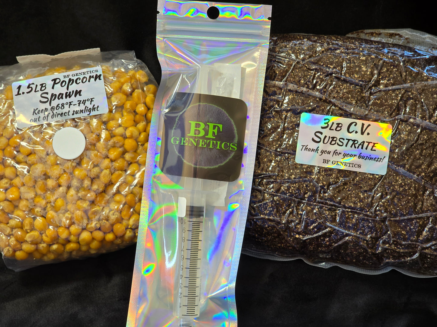 Shoe Box / Dub Tub Refill Combo