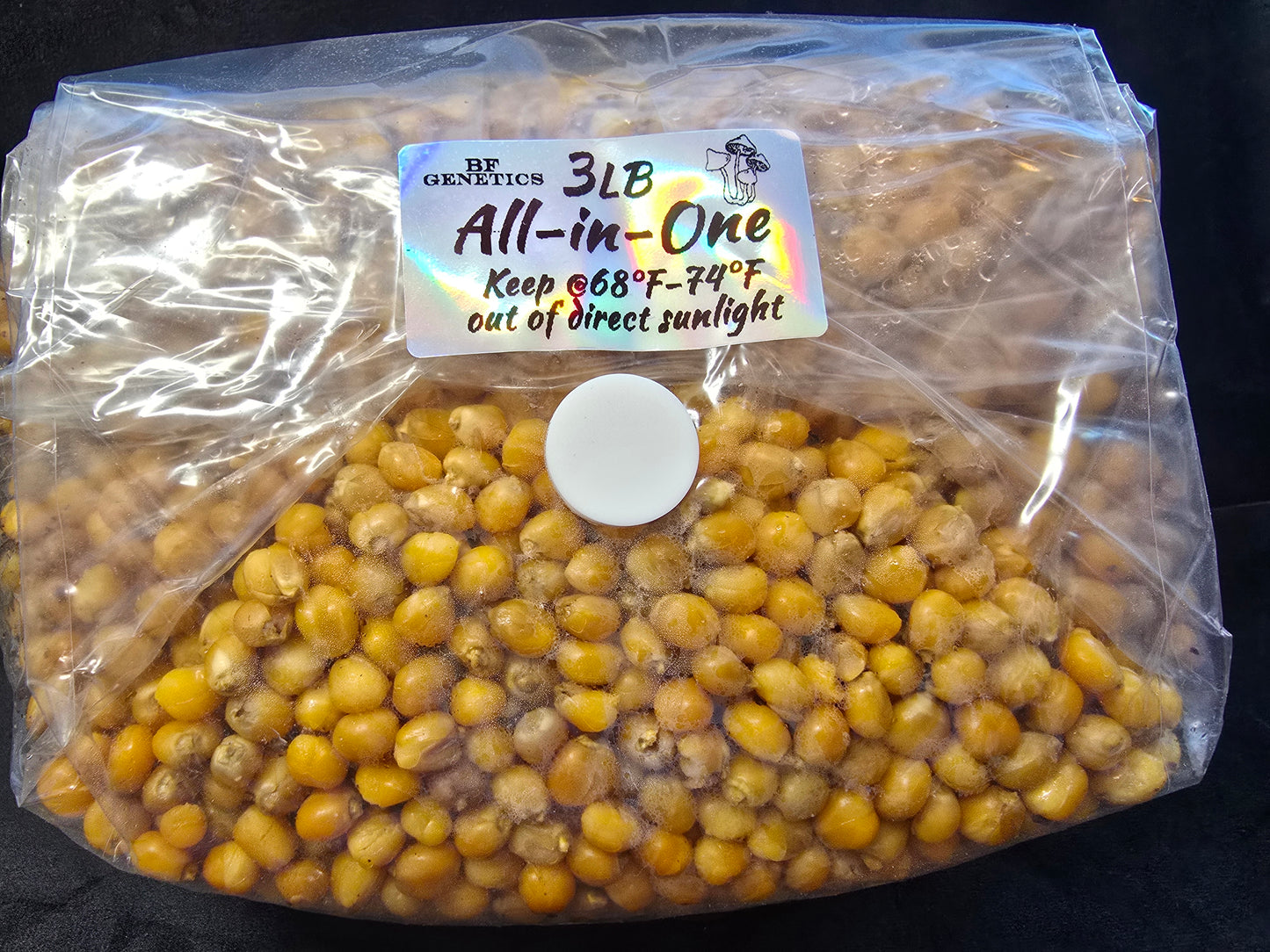 All-in-One Mushroom Grow Bag