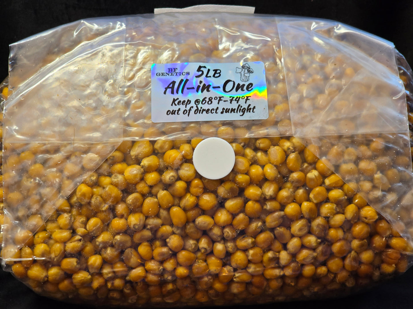 All-in-One Mushroom Grow Bag