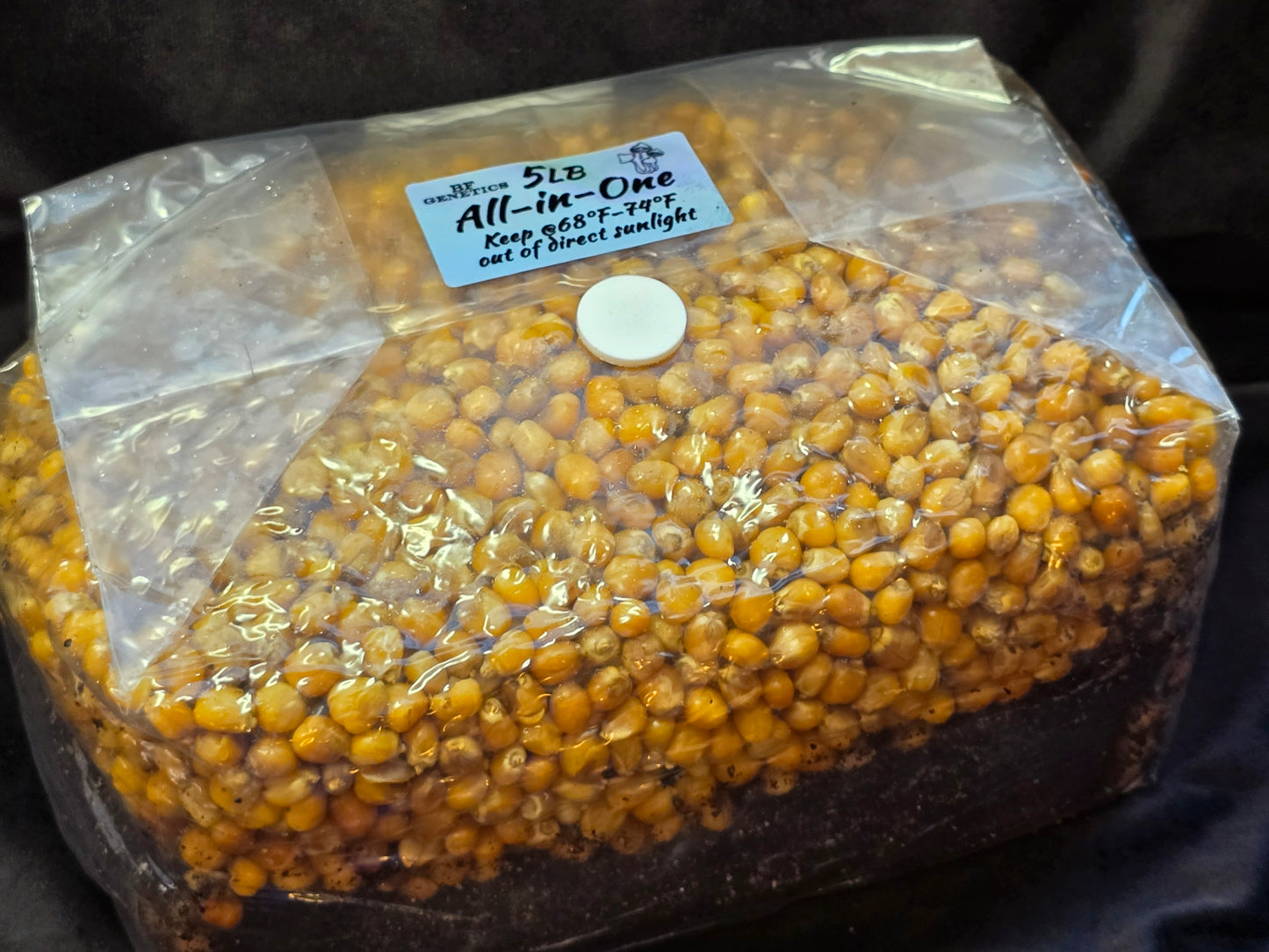 All-in-One Mushroom Grow Bag