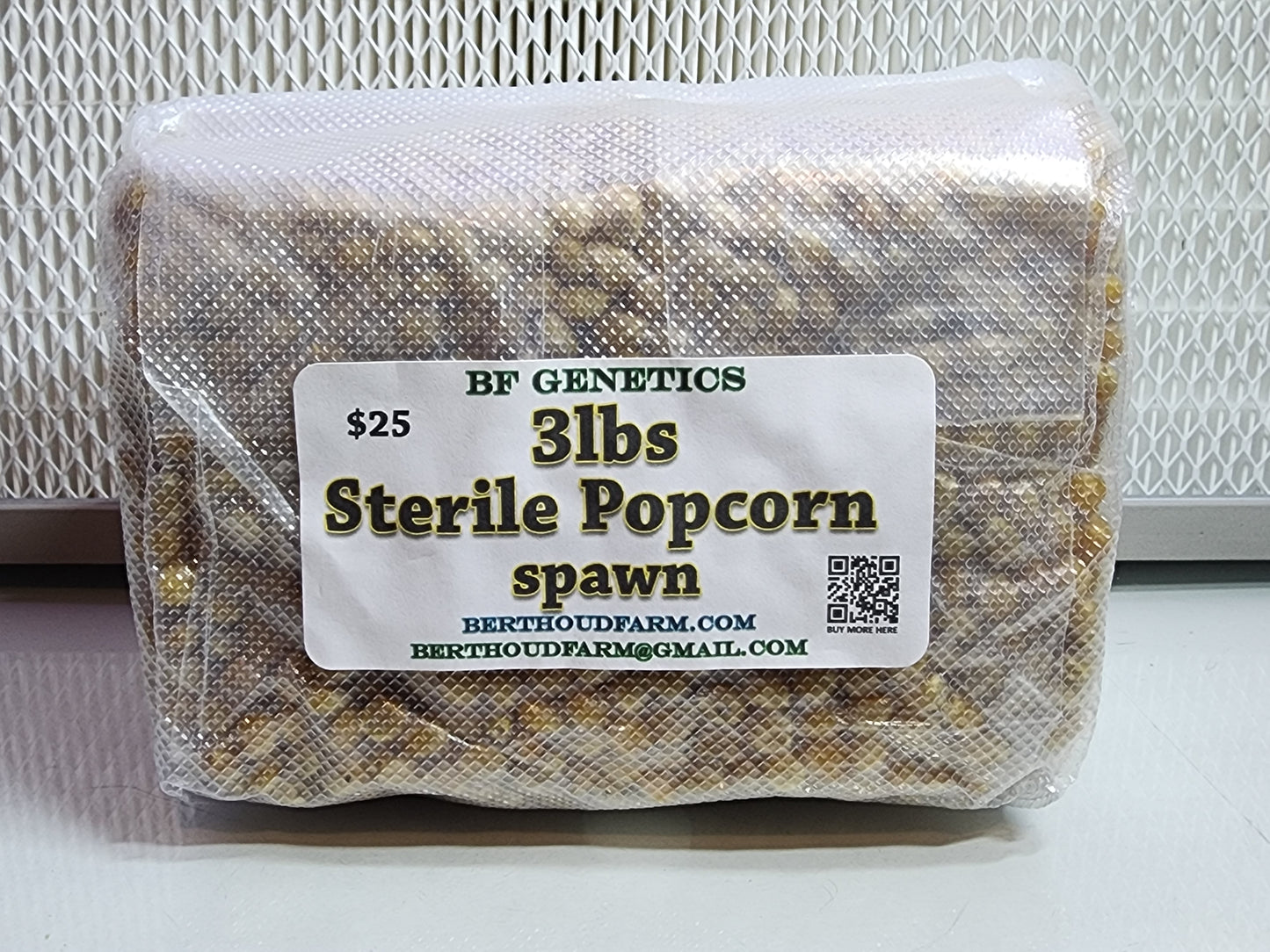 Popcorn Mushroom Spawn