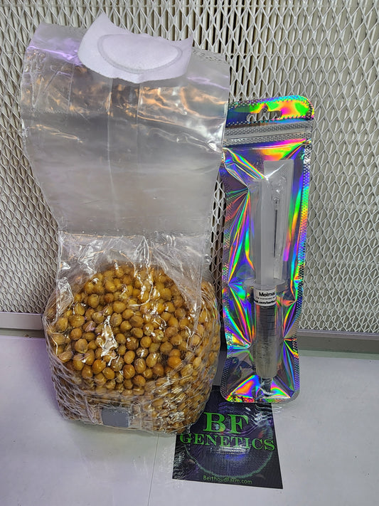 Popcorn Spawn Bag & LC Combo