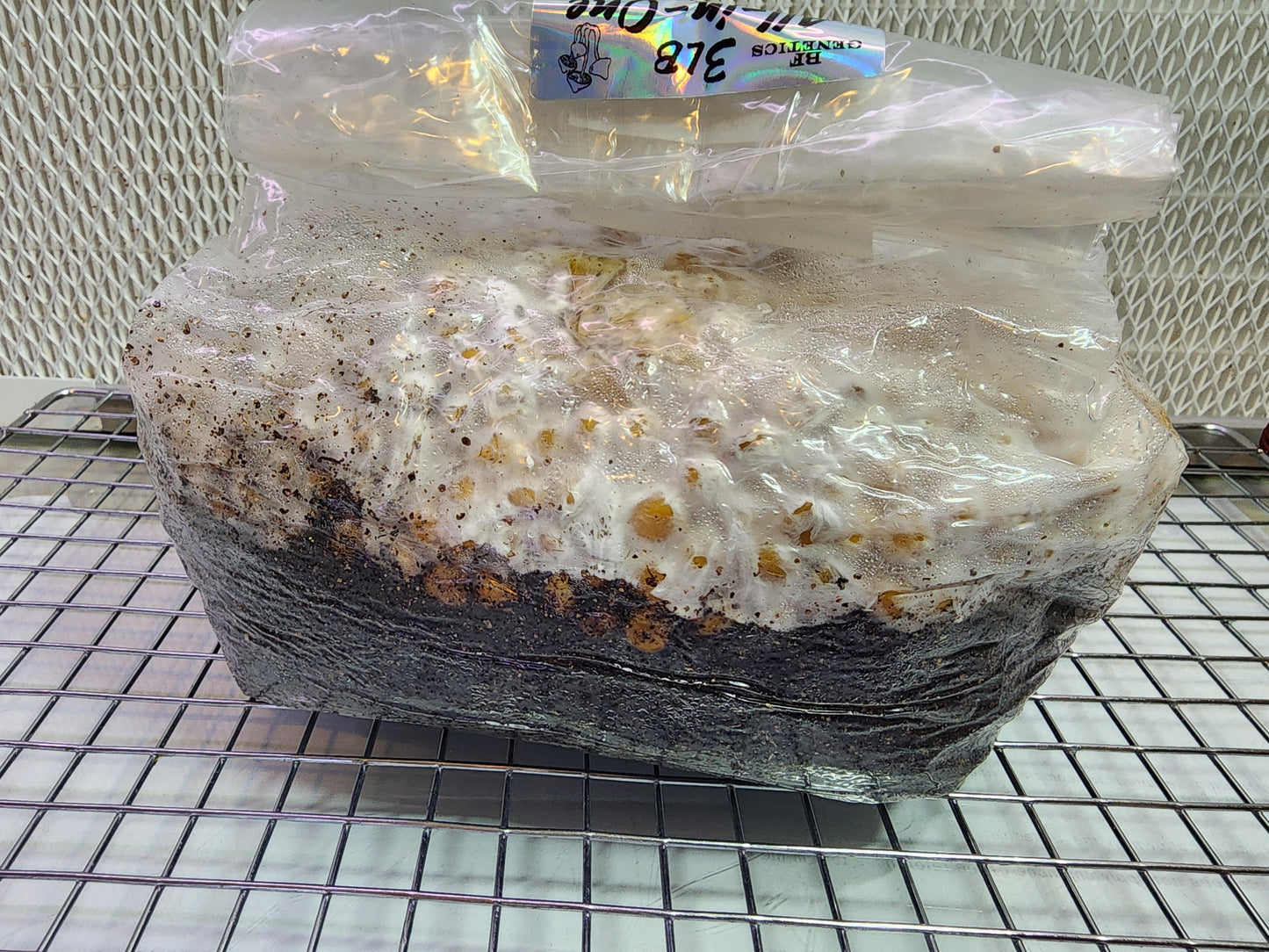 All-in-One Mushroom Grow Bag & LC Combo