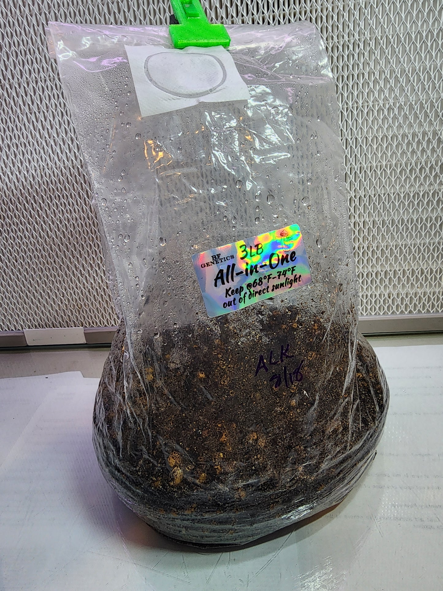All-in-One Mushroom Grow Bag & LC Combo