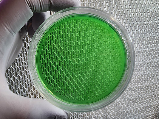 Grain Water Agar Dish / Plate