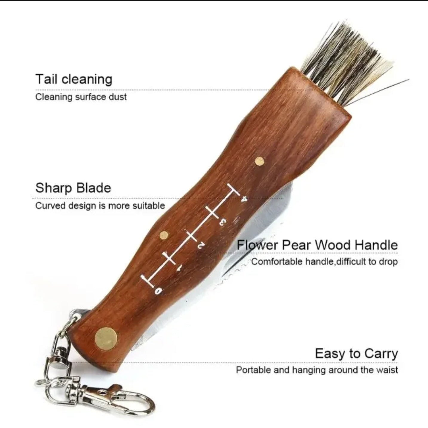 Wooden Handle Stainless Steel Folding Knife with Brush