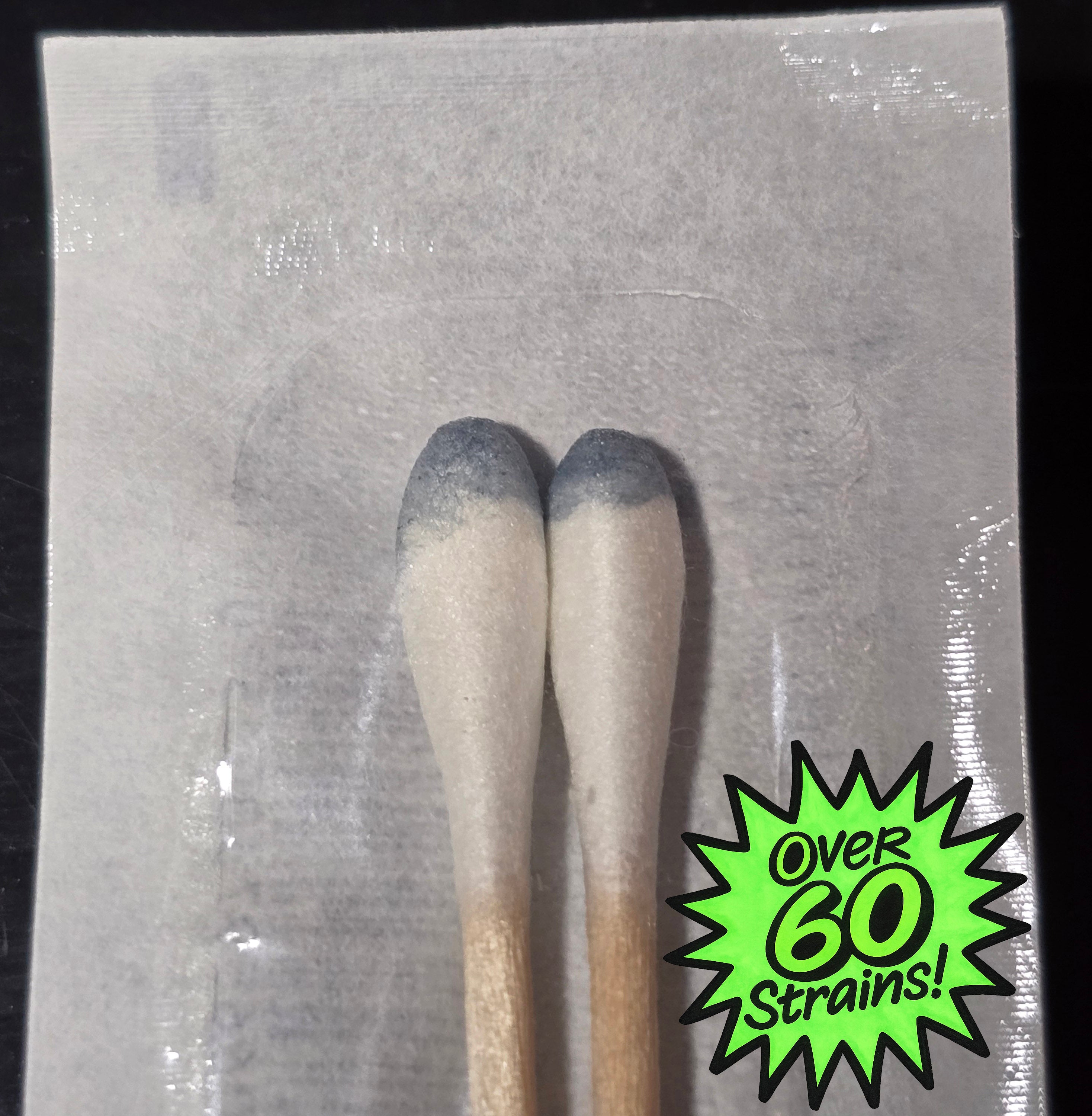 Research Spore Swabs (Pack of 2) – BF Genetics